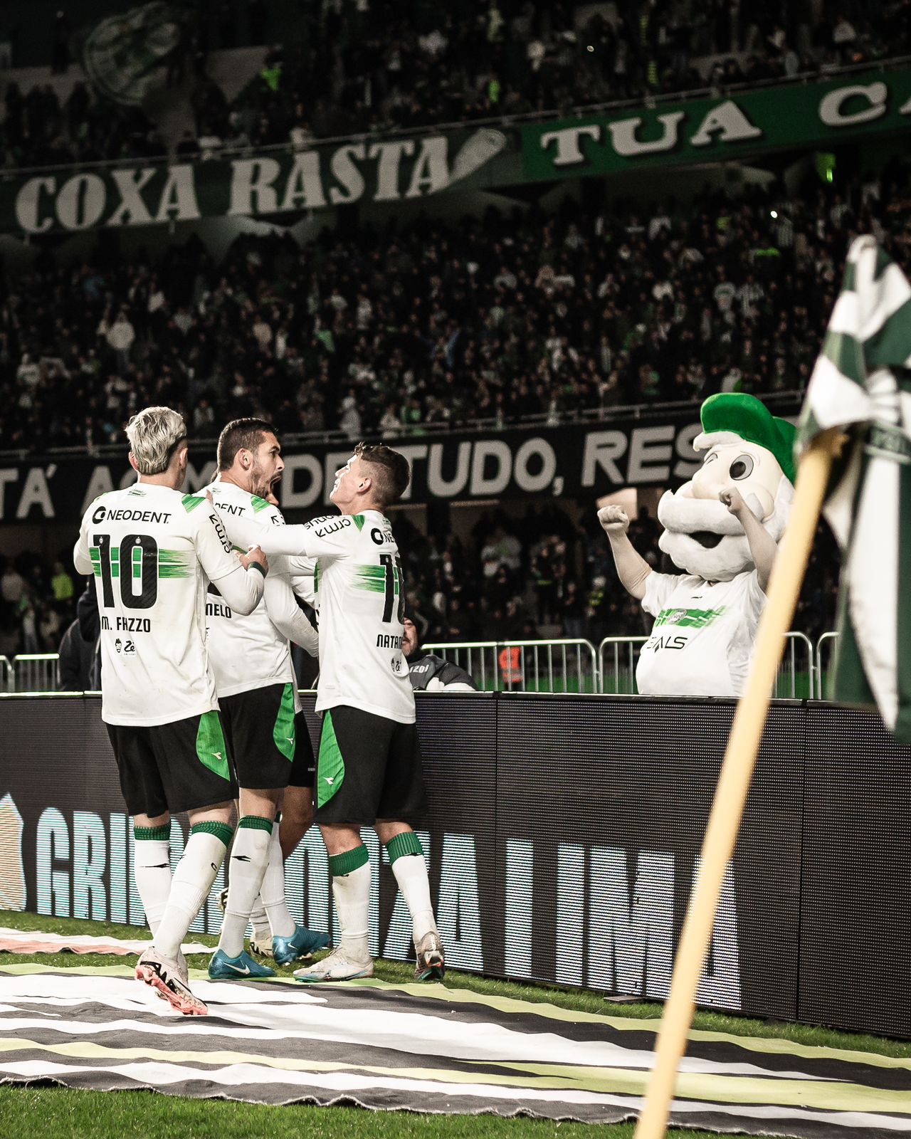 Bruno Melo participou de 50% dos gols do Coritiba nos últimos quatro jogos