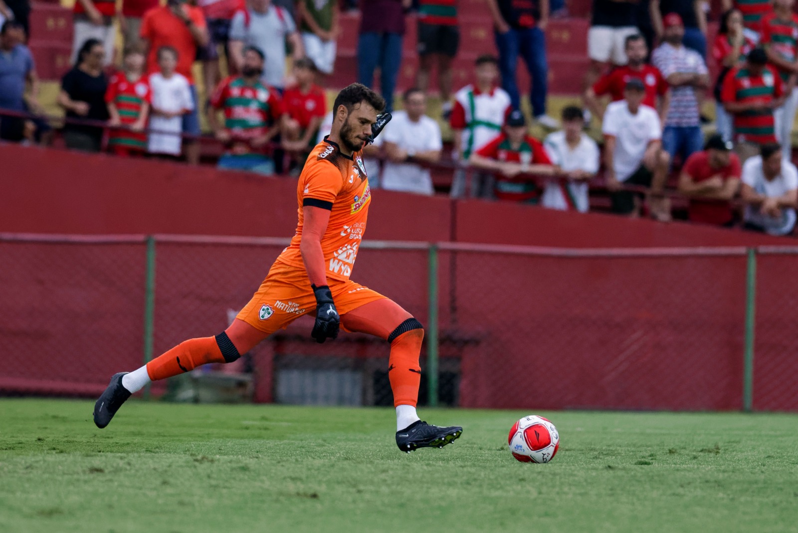 Goleiro Thomazella projeta duelo contra o Santos nas quartas de final do Paulista: “Muito importante”